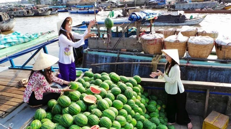 Kinh nghiệm du lịch miệt vườn Nam Bộ