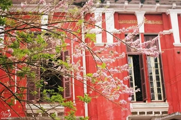 Lịch trình hoàn hảo cho chuyến du ngoạn 1 ngày ở Huế phần 1
