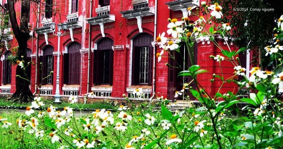 Lịch trình hoàn hảo cho chuyến du ngoạn 1 ngày ở Huế phần 1