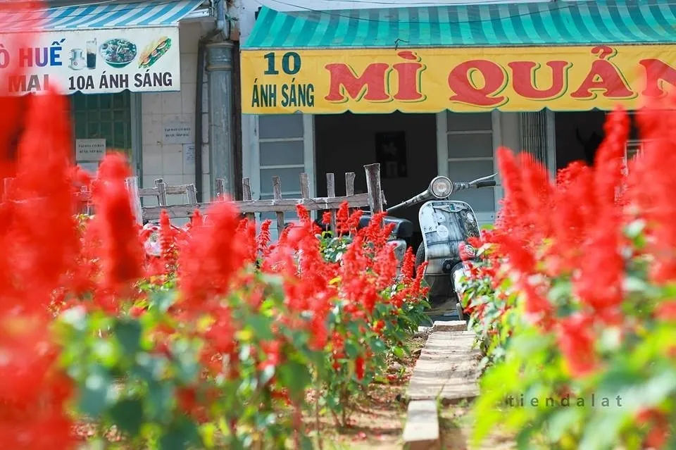 Mê mẩn đất trời Đà Lạt sang thu Mê mẩn đất trời Đà Lạt sang thu