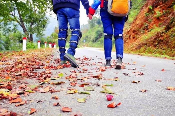 Mê mẩn sắc phong đỏ giữa núi rừng Việt Nam