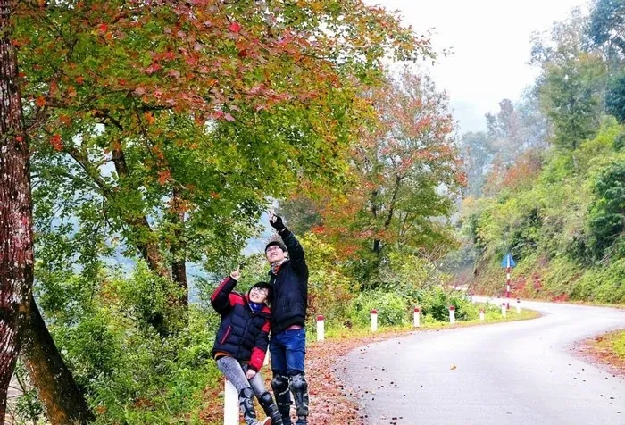 Mê mẩn sắc phong đỏ giữa núi rừng Việt Nam
