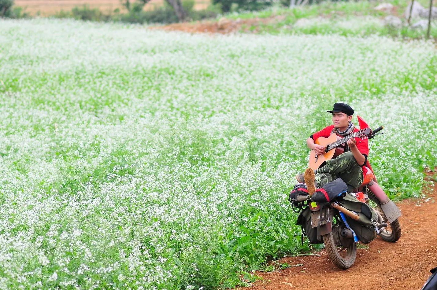 Mộc Châu - nơi tình yêu bắt đầu Mộc Châu - nơi tình yêu bắt đầu