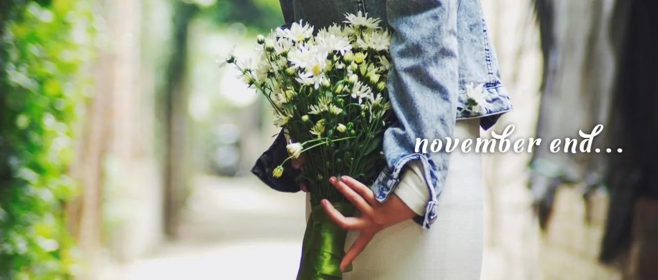 Mùa cúc họa mi về Hà Nội Mùa cúc họa mi về Hà Nội