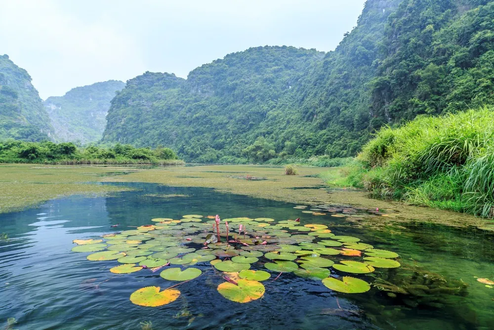 Mùa thu thanh bình ở Tràng An Mùa thu thanh bình ở Tràng An