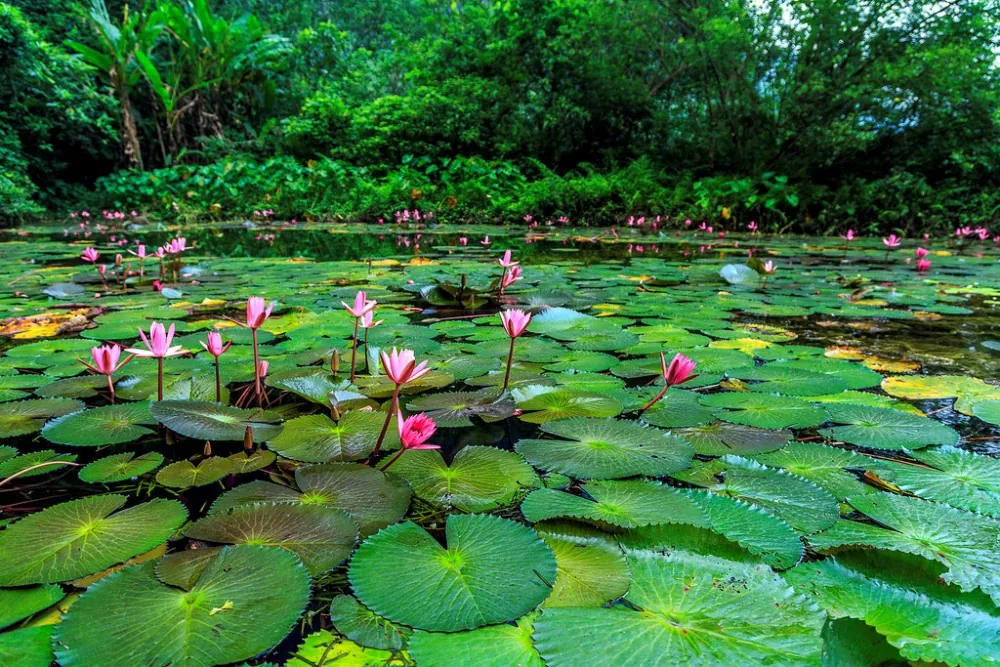 Mùa thu thanh bình ở Tràng An Mùa thu thanh bình ở Tràng An