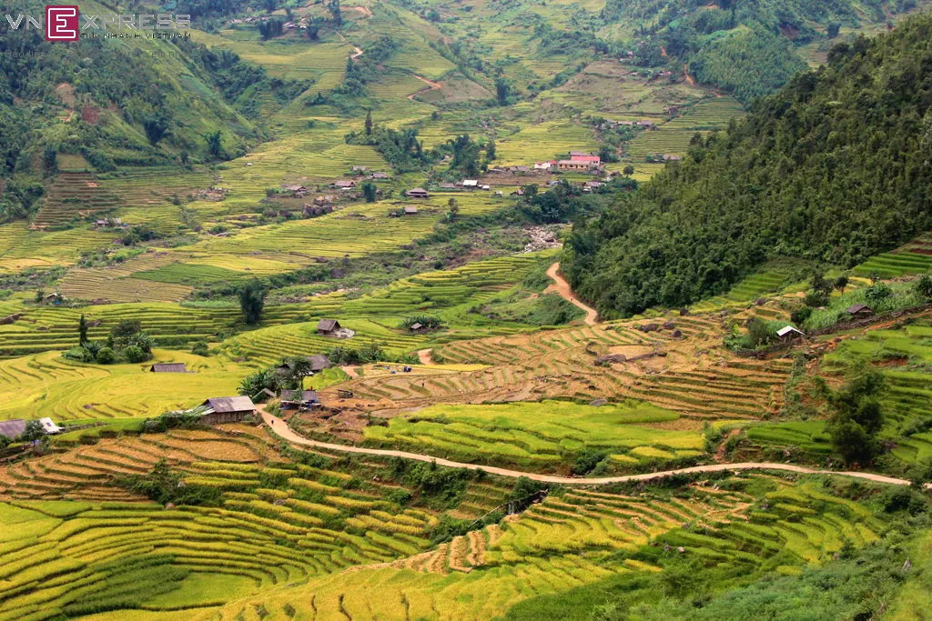 Mùa vàng ở Sàng Ma Sáo Lào Cai