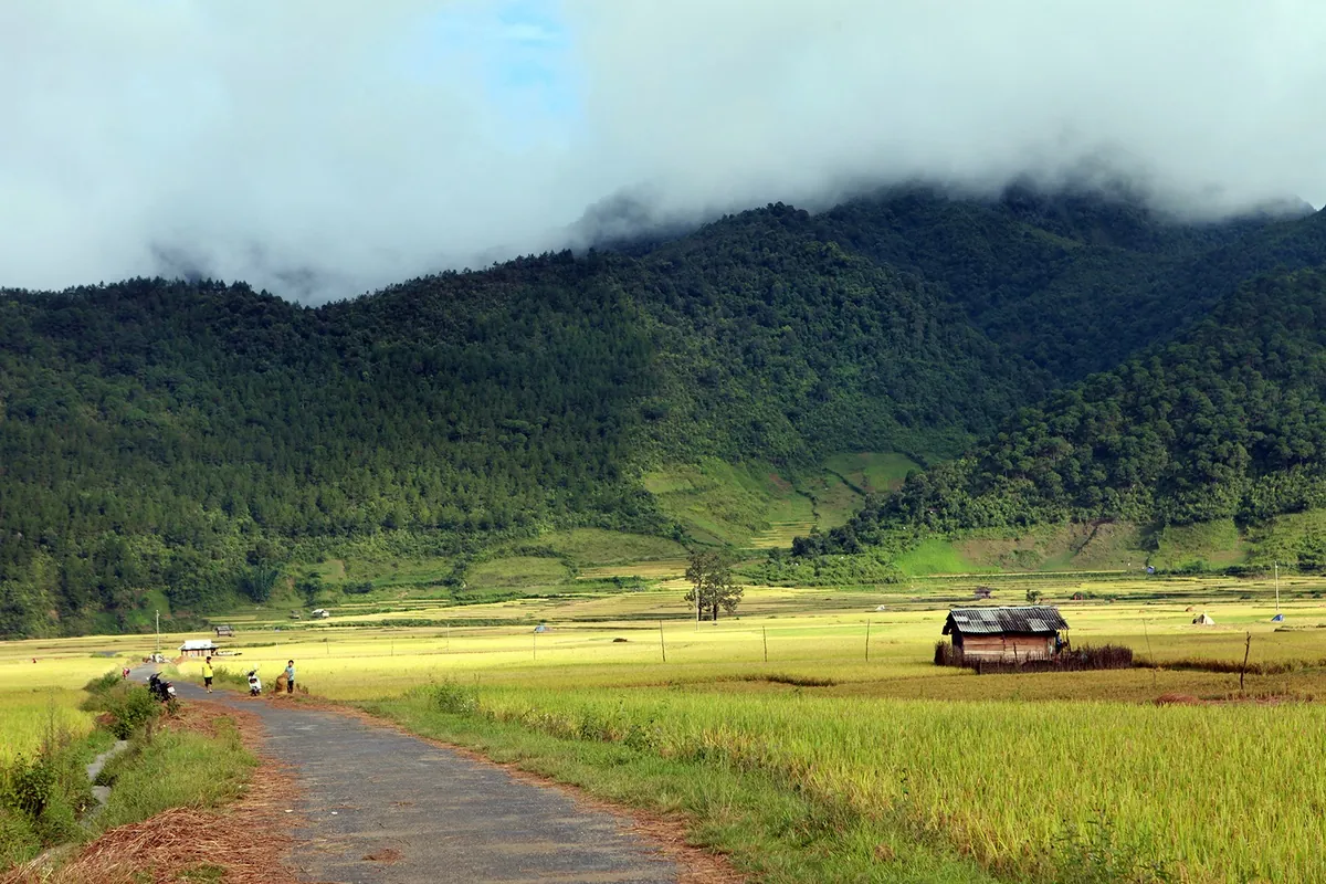 Mường La Đà Lạt thu nhỏ ở vùng Tây Bắc