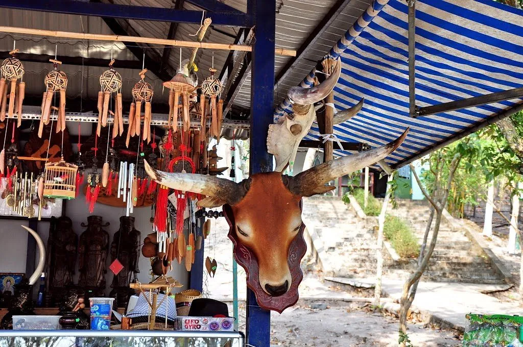 Nam thiên đệ nhất thác Pongour