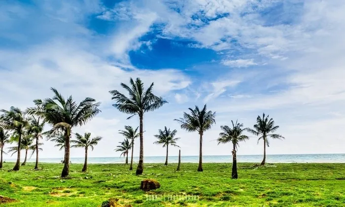 Nên mua gì khi đi du lịch tại thiên đường biển Phú Quốc