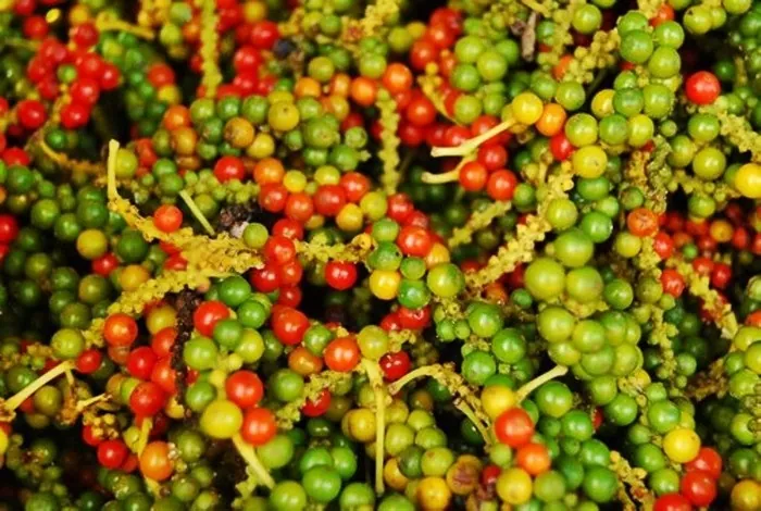 Nên mua gì khi đi du lịch tại thiên đường biển Phú Quốc
