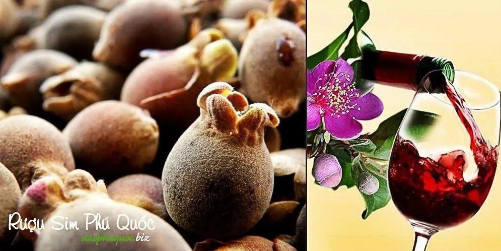 Nên mua gì khi đi du lịch tại thiên đường biển Phú Quốc
