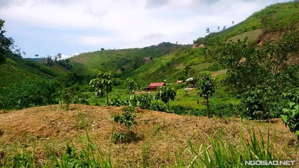 Nét đẹp yên bình trên cao nguyên Đăk Nông Nét đẹp yên bình trên cao nguyên Đăk Nông