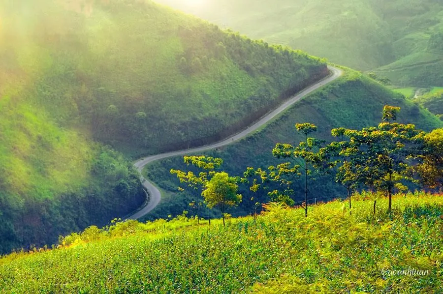 Ngắm vẻ đẹp ngoạn mục của những nấc thang lên thiên đường ở Hà Giang Ngắm vẻ đẹp ngoạn mục của những nấc thang lên thiên đường ở Hà Giang