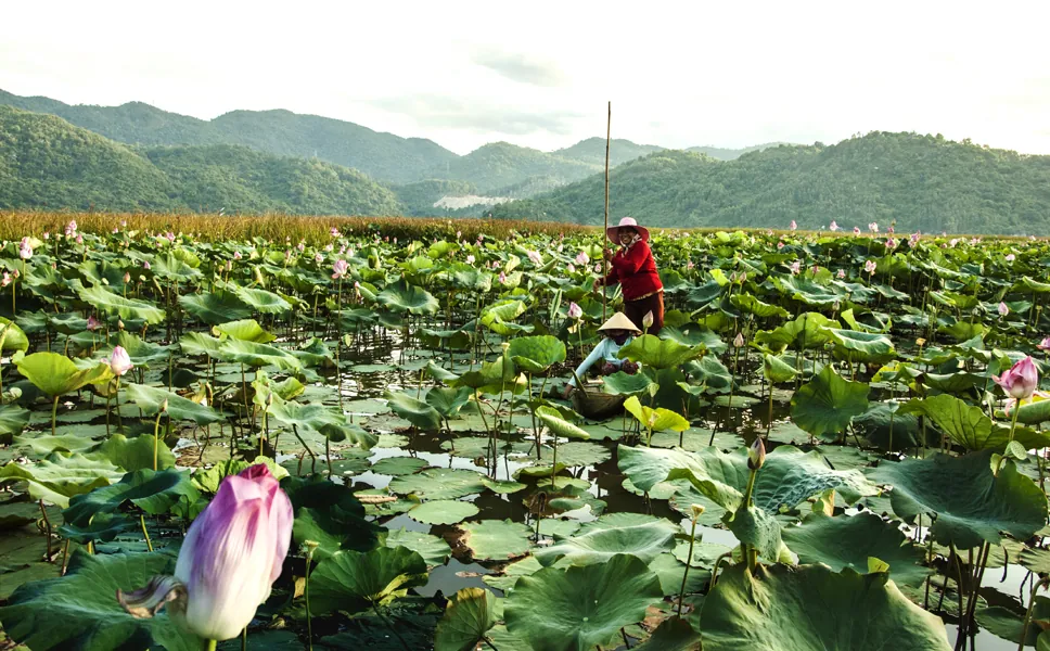 Ngất ngây với cảnh đẹp ở Phú Yên trong Tôi thấy hoa vàng trên cỏ xanh Ngất ngây với cảnh đẹp ở Phú Yên trong Tôi thấy hoa vàng trên cỏ xanh