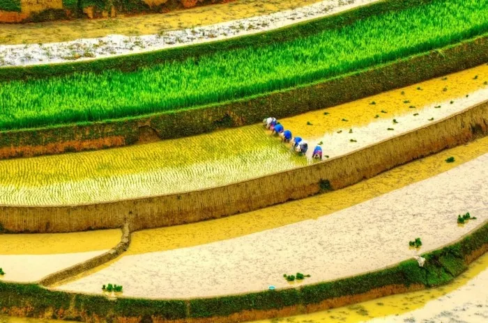 Ngây ngất cảnh sắc Sa Pa nhìn từ trên cao