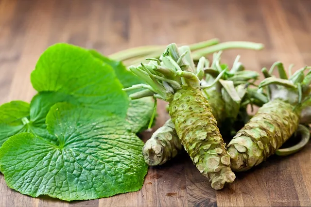 Những địa điểm du khách có thể khám phá mùa hè tại Nhật Bản Những địa điểm du khách có thể khám phá mùa hè tại Nhật Bản