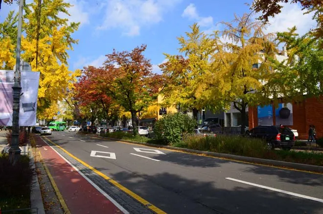 Những địa điểm ngắm lá vàng mùa thu lý tưởng khi du lịch Seoul Những địa điểm ngắm lá vàng mùa thu lý tưởng khi du lịch Seoul