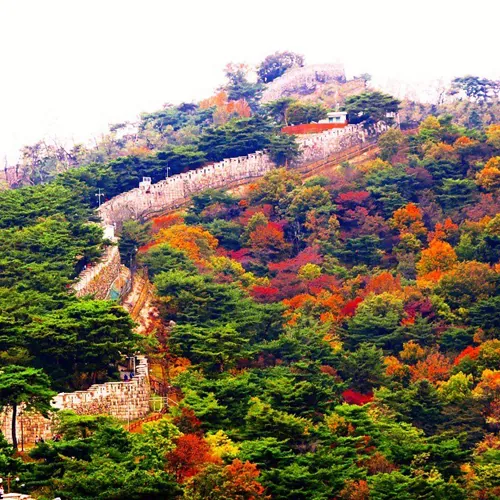 Những địa điểm ngắm lá vàng mùa thu lý tưởng khi du lịch Seoul Những địa điểm ngắm lá vàng mùa thu lý tưởng khi du lịch Seoul