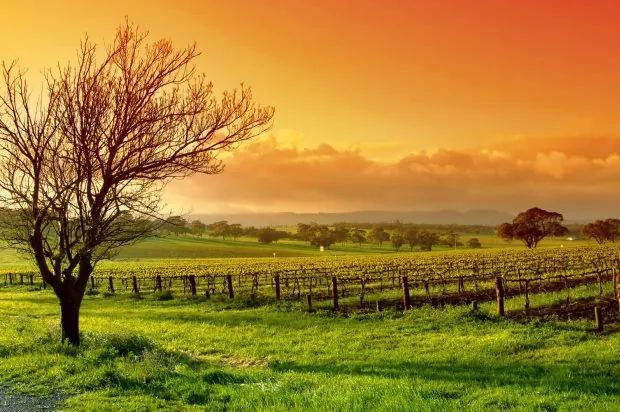 Barossa Valley