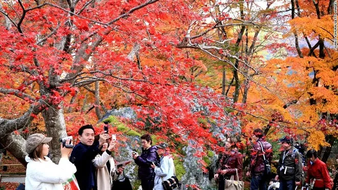 Những điều tuyệt vời nhất của du lịch Kyoto Những điều tuyệt vời nhất của du lịch Kyoto