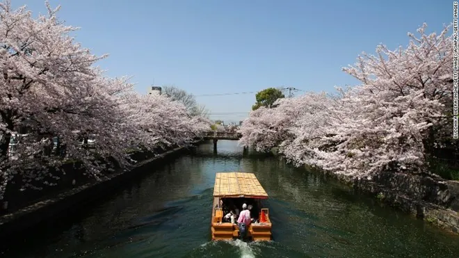 Những điều tuyệt vời nhất của du lịch Kyoto Những điều tuyệt vời nhất của du lịch Kyoto