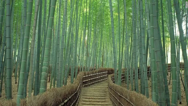 Những điều tuyệt vời nhất của du lịch Kyoto Những điều tuyệt vời nhất của du lịch Kyoto