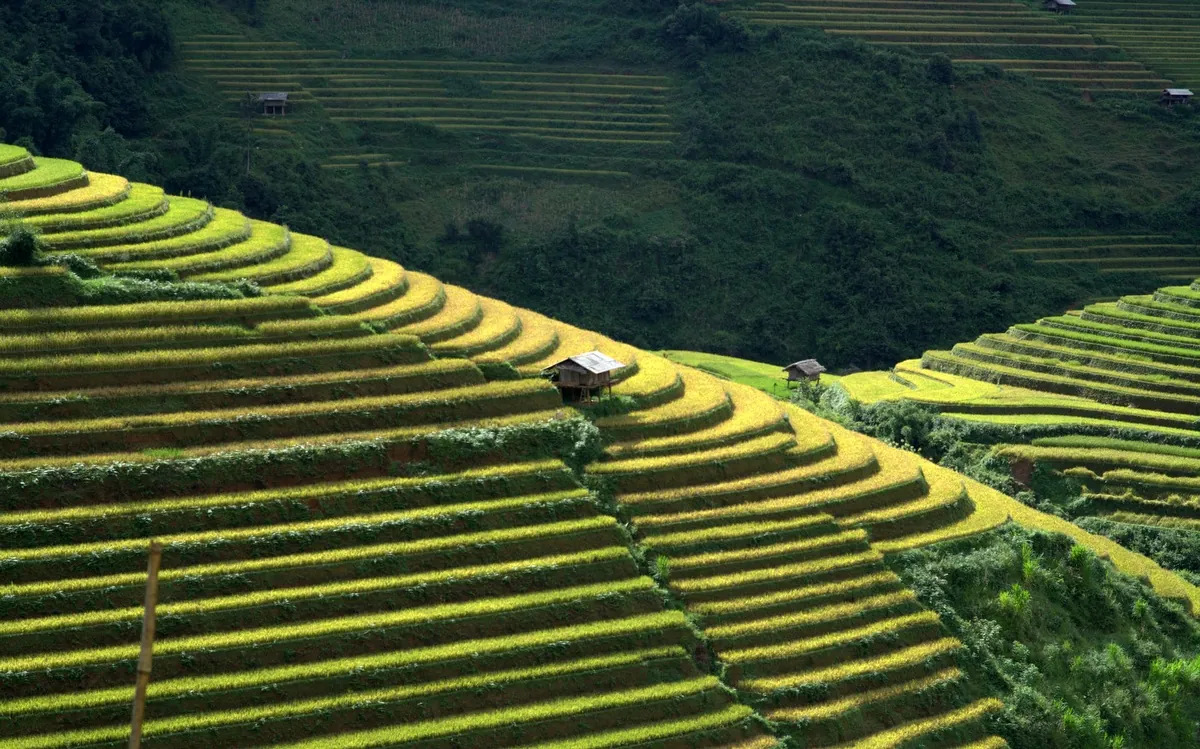 Những lưu ý trên hành trình tới ruộng mâm xôi Mù Cang Chải Những lưu ý trên hành trình tới ruộng mâm xôi Mù Cang Chải