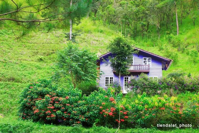 Những ngôi làng cổ tích cạnh xứ sở ngàn hoa Đà Lạt