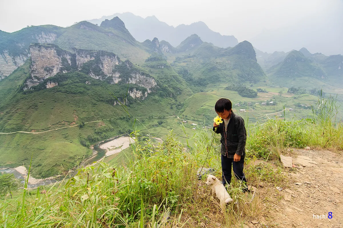 Những sắc hoa rực rỡ trên cao nguyên đá Hà Giang
