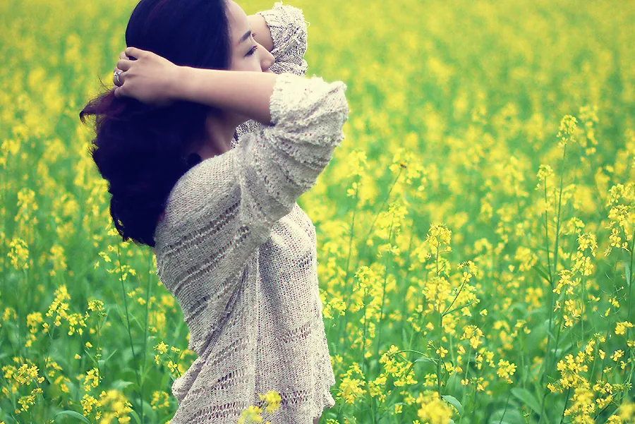 Những vạt cải vàng rực rỡ ven sông
