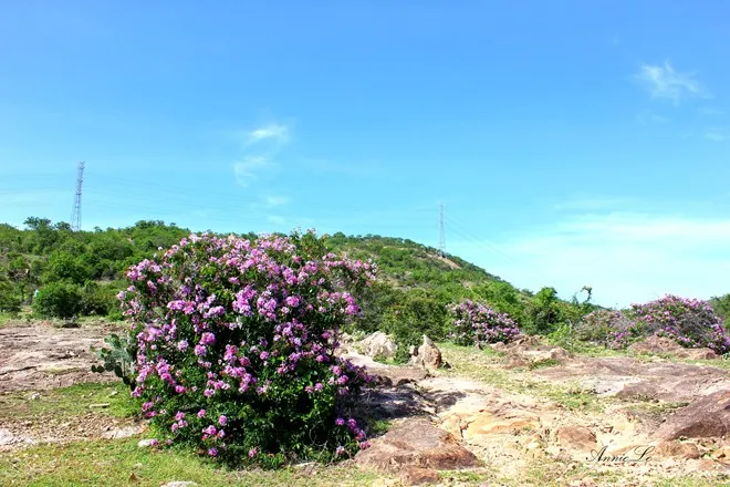 Phượt Phan Dũng điểm vàng trên cung trek đẹp nhất Việt Nam