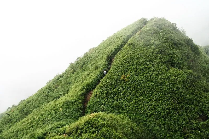 Quang cảnh tuyệt mỹ trên đỉnh Fansipan Qaung cảnh tuyệt mỹ trên đỉnh Fansipan