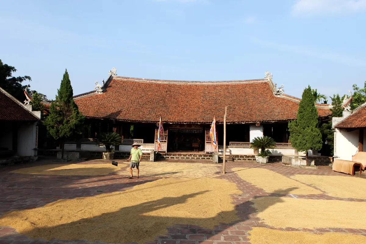 Rơm vàng trải khắp Đường Lâm Rơm vàng trải khắp Đường Lâm