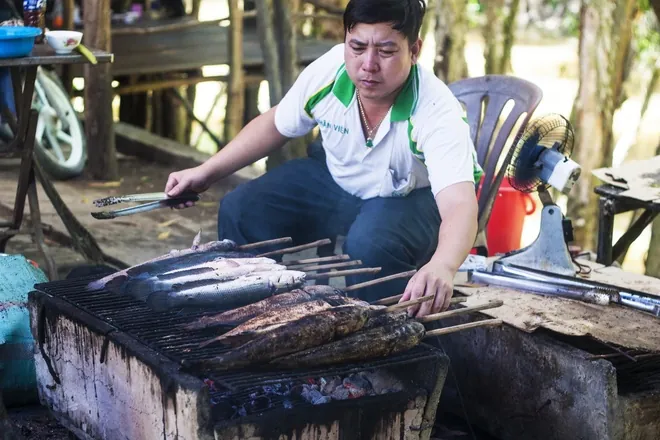 Rừng tràm Trà Sư thời khắc giao mùa Rừng tràm Trà Sư thời khắc giao mùa