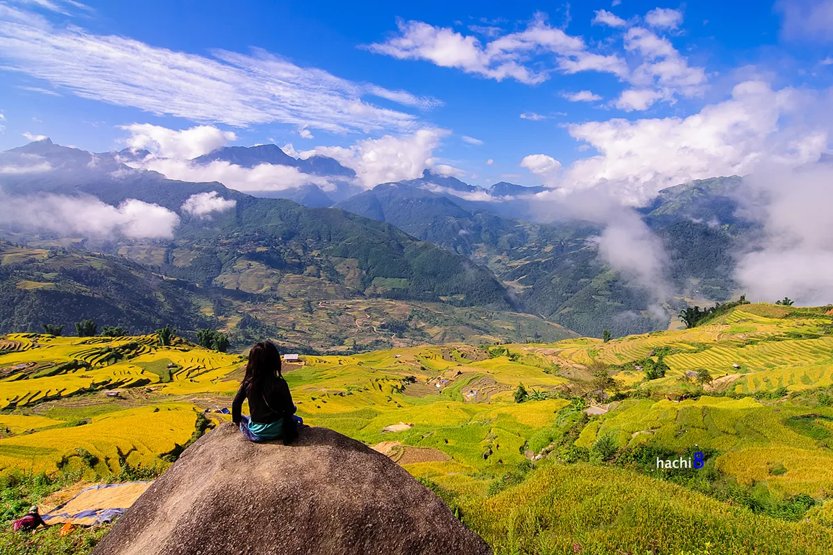 Sắc màu vùng cao Y Tý mùa lúa chín Sắc màu vùng cao Y Tý mùa lúa chín