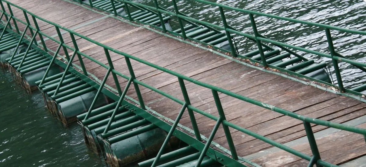 Sắc xanh ngập tràn hồ Ba Bể