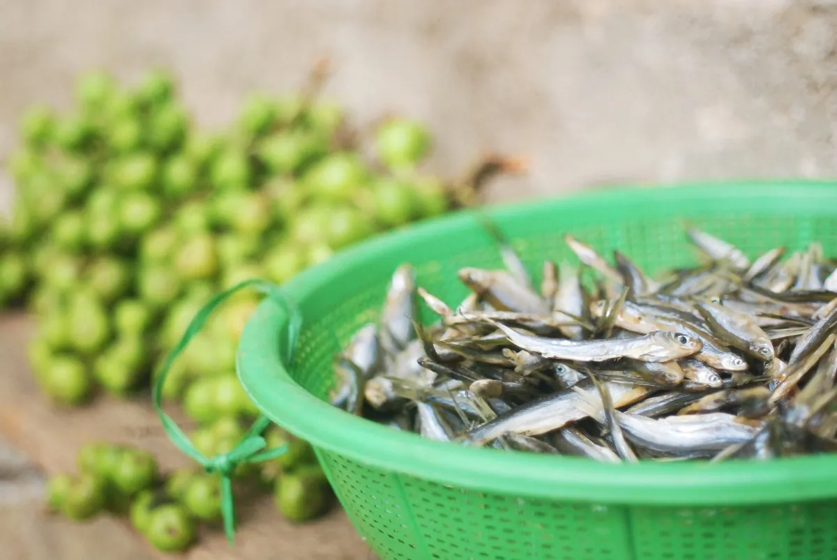 Sắc xanh ngập tràn hồ Ba Bể