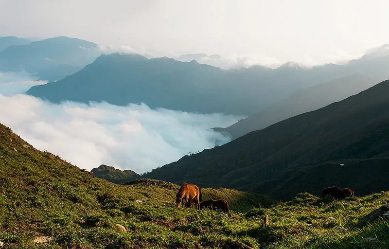 Săn mây cưỡi gió ở đỉnh Tà Chì Nhù Yên Bái