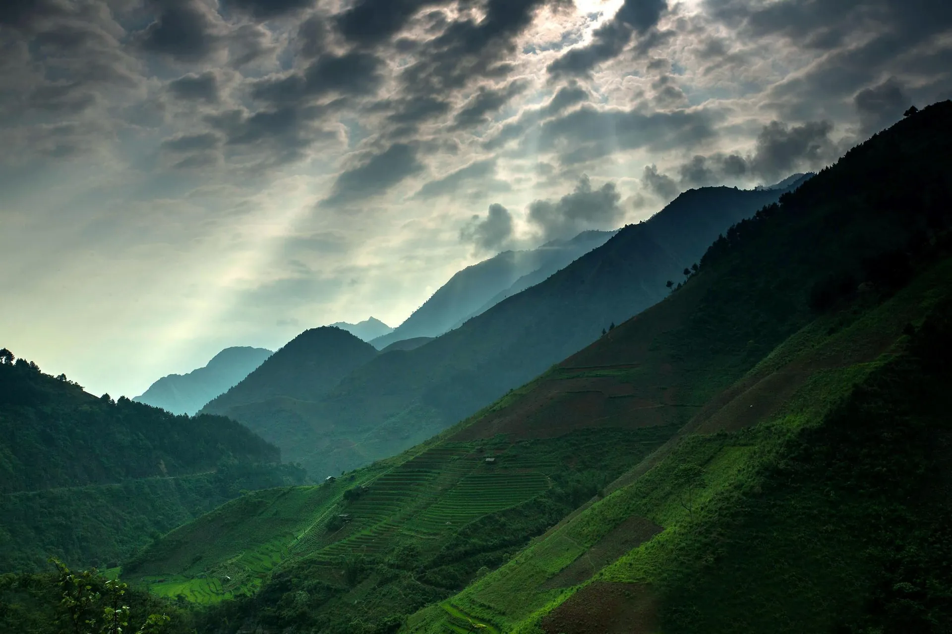 Săn mây cưỡi gió ở đỉnh Tà Chì Nhù Yên Bái
