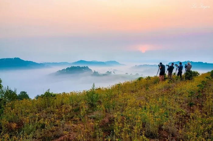 Săn mây Đà Lạt mùa sương bạc Săn mây Đà Lạt mùa sương bạc