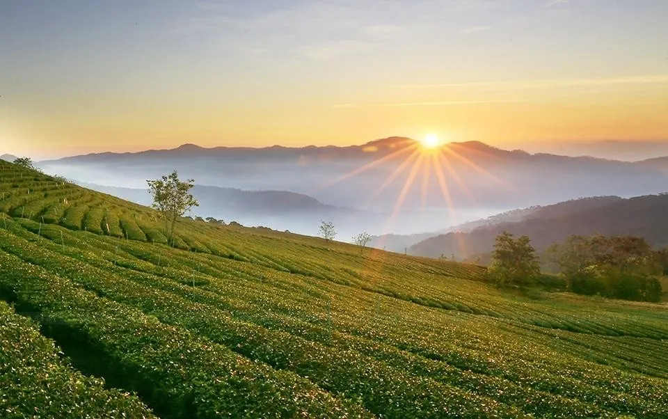 Săn mây Đà Lạt mùa sương bạc Săn mây Đà Lạt mùa sương bạc
