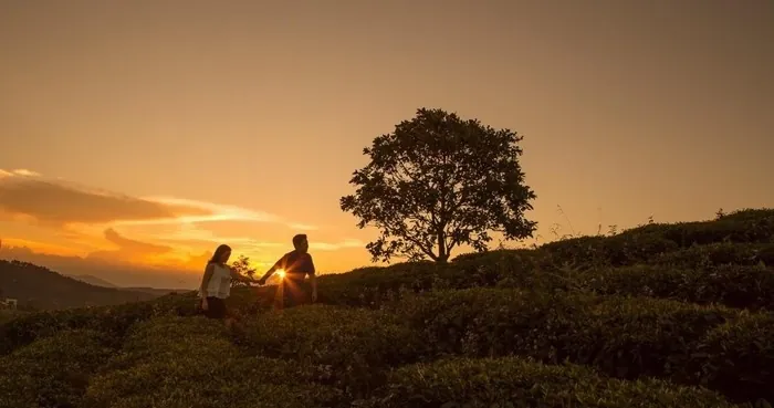 Săn mây Đà Lạt mùa sương bạc Săn mây Đà Lạt mùa sương bạc