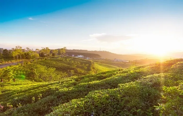 Săn mây Đà Lạt mùa sương bạc Săn mây Đà Lạt mùa sương bạc