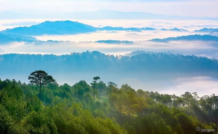 Săn mây Đà Lạt mùa sương bạc Săn mây Đà Lạt mùa sương bạc