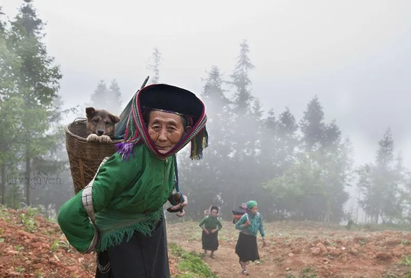 Sapa duyên dáng đến nao lòng qua ống kính nhiếp ảnh gia nước ngoài Sapa duyên dáng đến nao lòng qua ông kính nhiếp ảnh gia nước ngoài