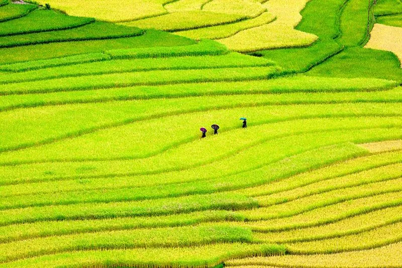 Sapa duyên dáng đến nao lòng qua ống kính nhiếp ảnh gia nước ngoài Sapa duyên dáng đến nao lòng qua ông kính nhiếp ảnh gia nước ngoài