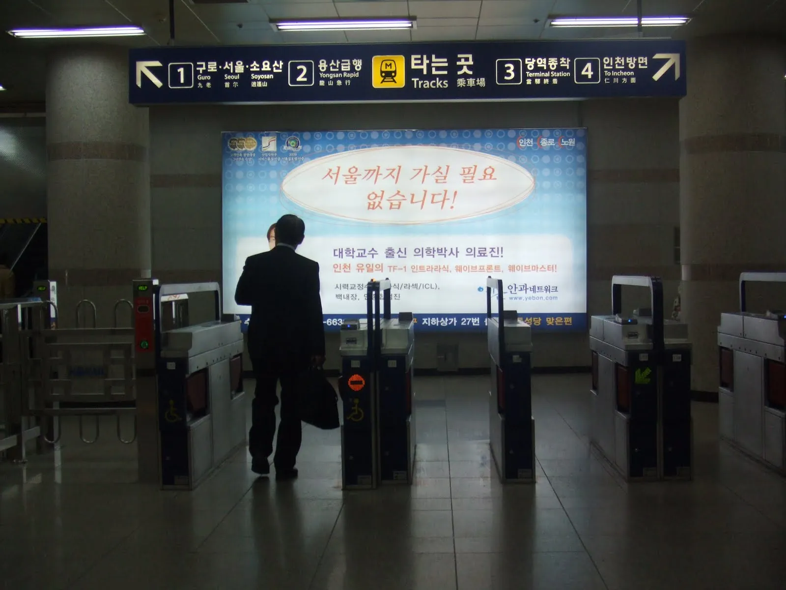 Seoul mùa hoa anh đào Seoul mùa hoa anh đào