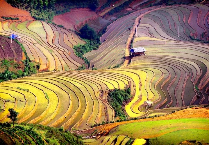 Tây Bắc mùa nước đổ lấp lánh những ô màu Tây Bắc mùa nước đổ lấp lánh những ô màu