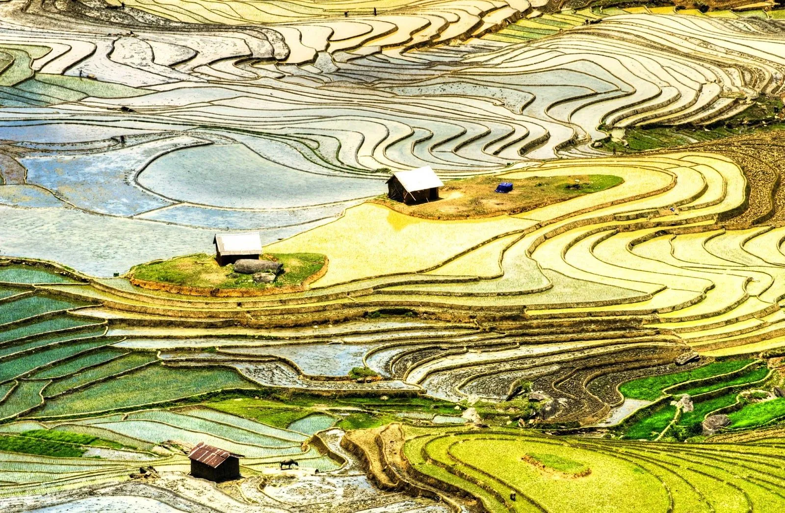 Tây Bắc mùa nước đổ lấp lánh những ô màu